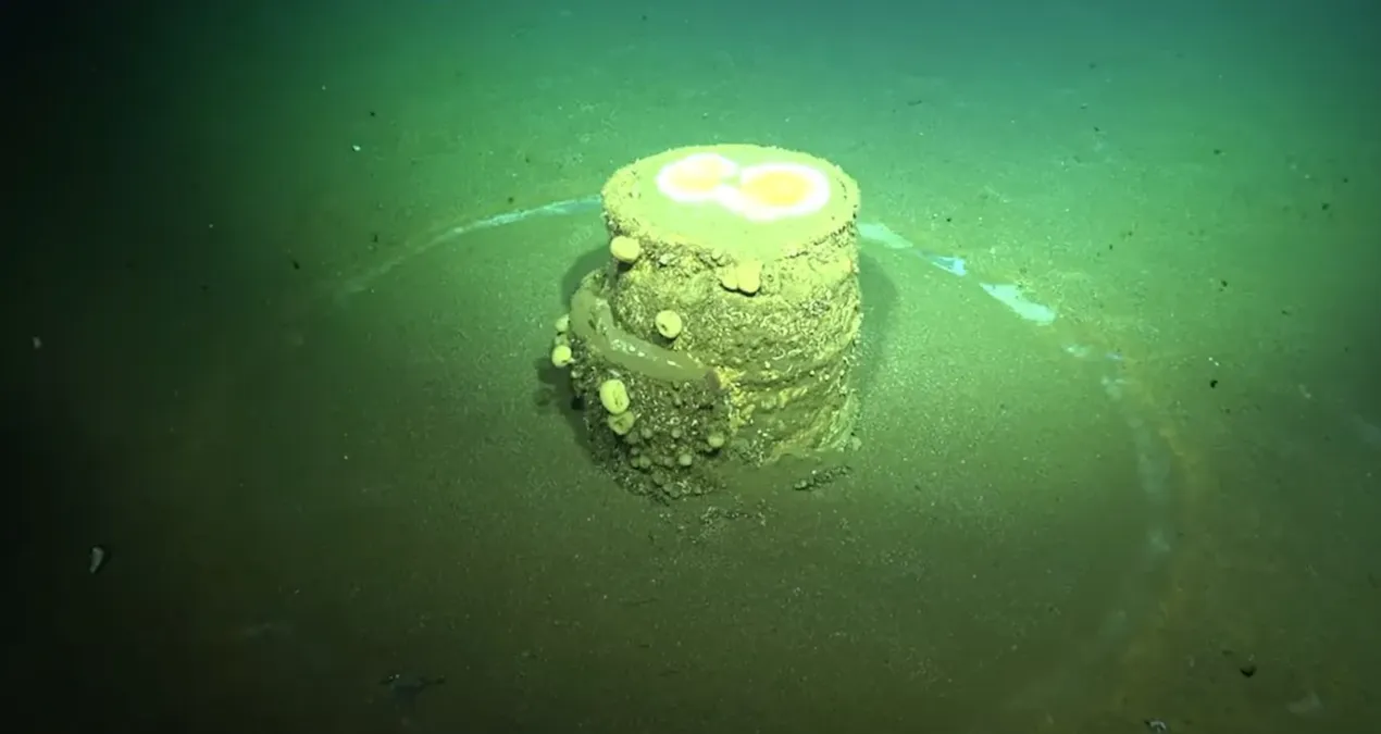 okyanus tabanindaki gizemli halkalar zehirli sirri aciga cikardi 86dbMHg8