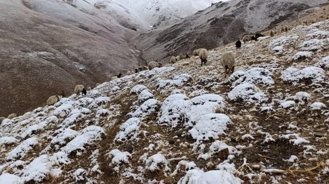 vanin yukseklerine kar yagdi hazirliksiz yakalanan cobanlar zor anlar yasadi lIReFccj