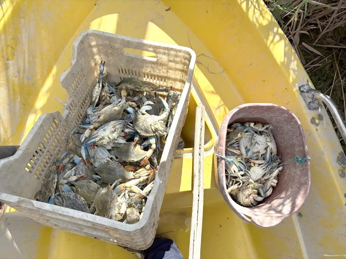 mersinde yasa disi yengec avcilari yakalandi wB7HTJ2x.jpg